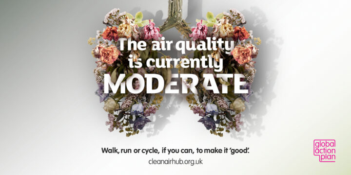 Text (The air quality is currently moderate) weaved into an image depicting lungs made up of decaying flowers.